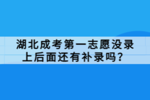 湖北成考第一志愿沒錄上后面還有補錄嗎？