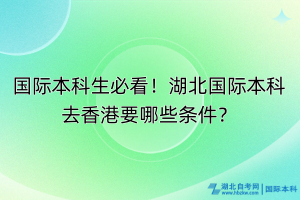 國際本科生必看！湖北國際本科去香港要哪些條件？