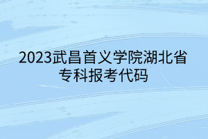 2023武昌首義學院湖北省?？茍罂即a