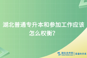 湖北普通專升本和參加工作應(yīng)該怎么權(quán)衡？