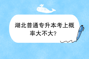 湖北普通專升本考上概率大不大？