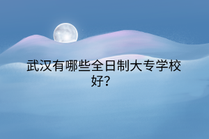 武漢有哪些全日制大專學(xué)校好？