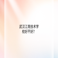 武漢江南技術(shù)學(xué)校好不好？
