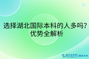 選擇湖北國際本科的人多嗎？優(yōu)勢全解析