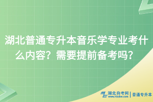 湖北普通專升本音樂學(xué)專業(yè)考什么內(nèi)容？需要提前備考嗎？