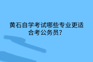 黃石自學(xué)考試哪些專業(yè)更適合考公務(wù)員？