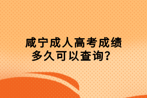咸寧成人高考成績多久可以查詢？