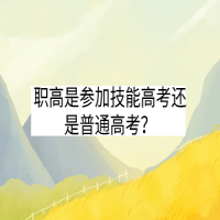 職高是參加技能高考還是普通高考？