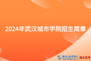 2024年武漢城市學(xué)院招生簡(jiǎn)章