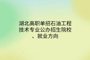 湖北高職單招石油工程技術專業(yè)公辦招生院校、就業(yè)方向