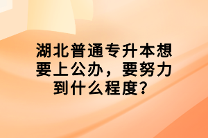 湖北普通專升本想要上公辦，要努力到什么程度？