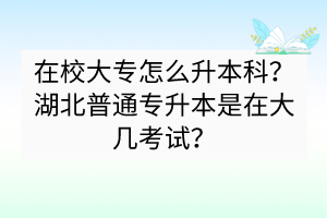 在校大專怎么升本科？湖北普通專升本是在大幾考試？