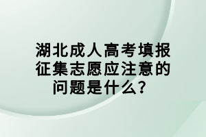 湖北成人高考填報征集志愿應注意的問題是什么？