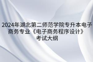 2024年湖北第二師范學院專升本?電子商務(wù)專業(yè)《電子商務(wù)程序設(shè)計》考試大綱