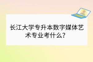 長(zhǎng)江大學(xué)專升本數(shù)字媒體藝術(shù)專業(yè)考什么？