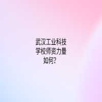 武漢工業(yè)科技學(xué)校師資力量如何？