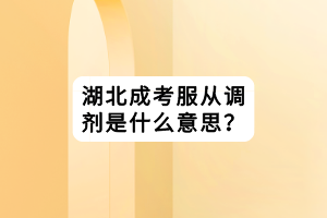 湖北成考服從調(diào)劑是什么意思？