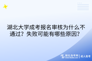 2024年湖北大學(xué)成考報(bào)名審核為什么不通過？失敗可能有哪些原因？