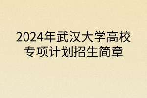 2024年武漢大學(xué)高校專項(xiàng)計(jì)劃招生簡章