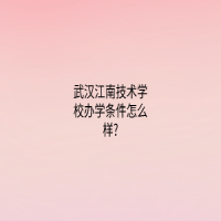 武漢江南技術(shù)學校辦學條件怎么樣?
