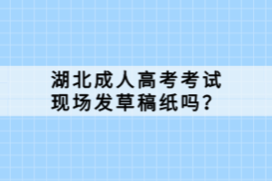 湖北成人高考考試現(xiàn)場(chǎng)發(fā)草稿紙嗎？