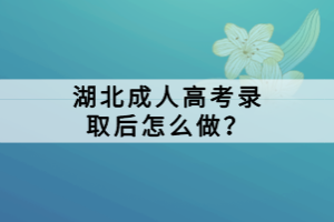 湖北成人高考錄取后怎么做？
