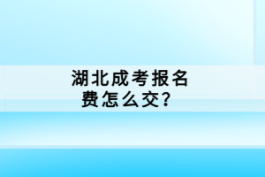湖北成考報(bào)名費(fèi)怎么交？