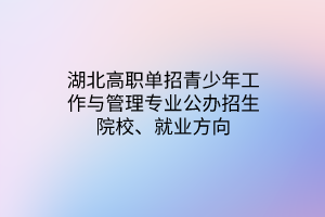 湖北高職單招青少年工作與管理專業(yè)公辦招生院校、就業(yè)方向