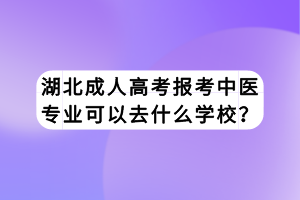湖北成人高考報(bào)考中醫(yī)專業(yè)可以去什么學(xué)校？