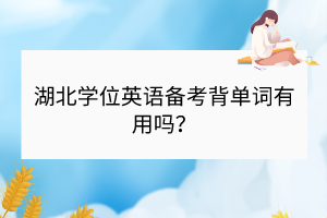 湖北學位英語備考背單詞有用嗎？