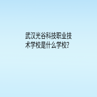 武漢光谷科技職業(yè)技術(shù)學(xué)校是什么學(xué)校？