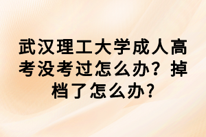 武漢理工大學(xué)成人高考沒考過怎么辦？掉檔了怎么辦?