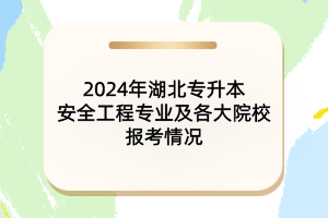 2024年湖北專(zhuān)升本安全工程專(zhuān)業(yè)及各大院校報(bào)考情況