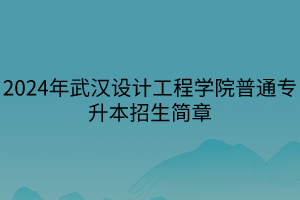 2024年武漢設(shè)計工程學(xué)院普通專升本招生簡章