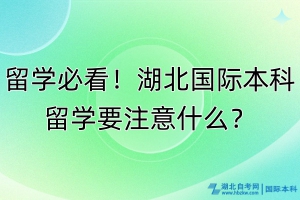 留學必看！湖北國際本科留學要注意什么？