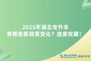 2025年湖北專升本有哪些新政策變化？速度收藏！