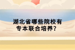 湖北省哪些院校有專(zhuān)本聯(lián)合培養(yǎng)？
