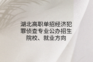 湖北高職單招經(jīng)濟犯罪偵查專業(yè)公辦招生院校、就業(yè)方向