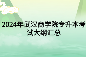 2024年武漢商學(xué)院專升本各專業(yè)考試大綱匯總