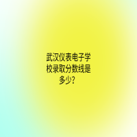 武漢儀表電子學(xué)校錄取分?jǐn)?shù)線是多少？
