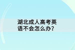 湖北成人高考英語不會怎么辦？