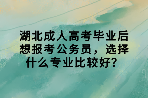 湖北成人高考畢業(yè)后想報(bào)考公務(wù)員，選擇什么專業(yè)比較好？