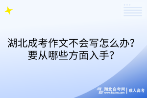 湖北成考作文不會寫怎么辦？要從哪些方面入手？