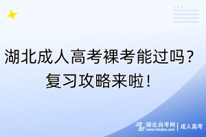 湖北成人高考裸考能過嗎？復(fù)習(xí)攻略來啦！