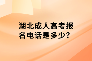 湖北成人高考報名電話是多少？