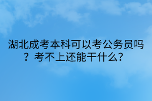 湖北成考本科可以考公務員嗎？考不上還能干什么？