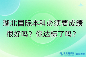 湖北國際本科必須成績很好嗎？你達標了嗎？