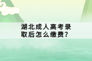 湖北成人高考錄取后怎么繳費(fèi)？
