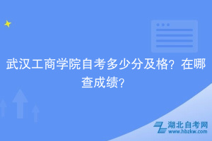 武漢工商學(xué)院自考多少分及格？在哪查成績(jī)？