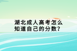 湖北成人高考怎么知道自己的分?jǐn)?shù)？